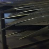 IMG_0483-22-08-17-11-06